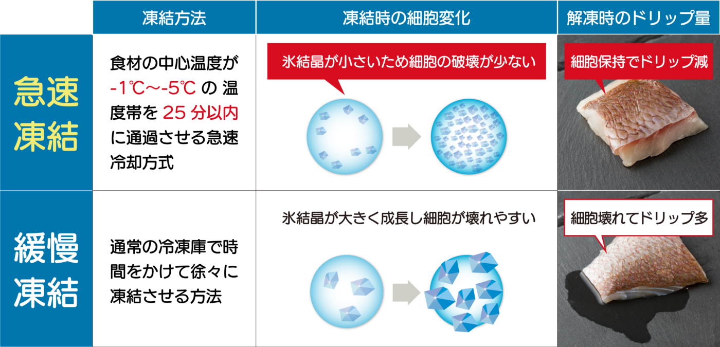 急速凍結と緩慢凍結の比較表